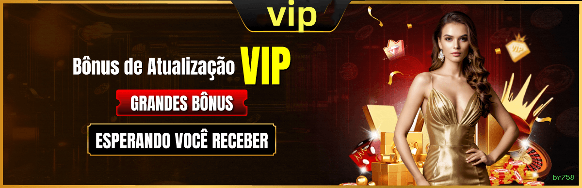 Suporte VIP br758 - atendimento prioritário